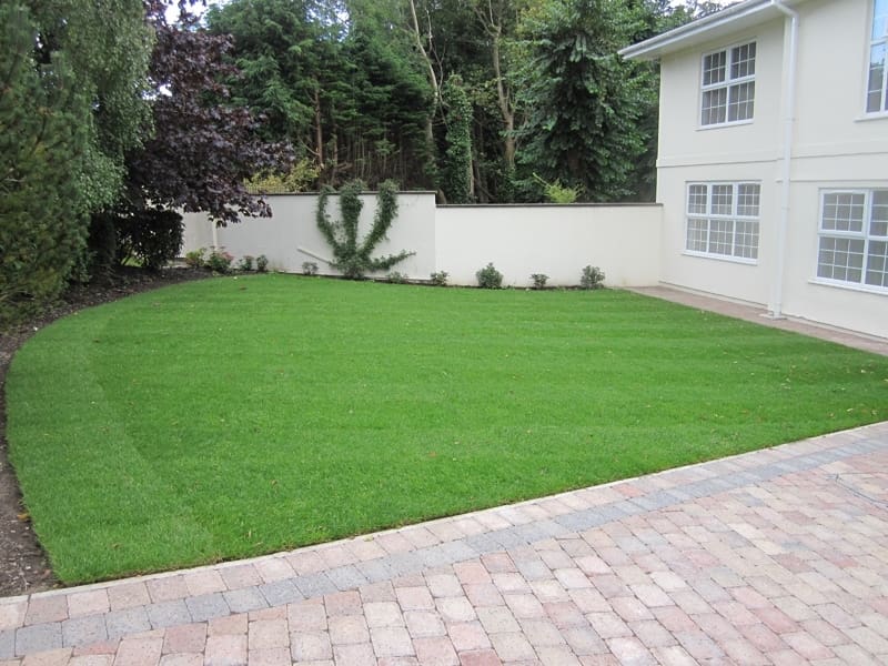 Lawns-1