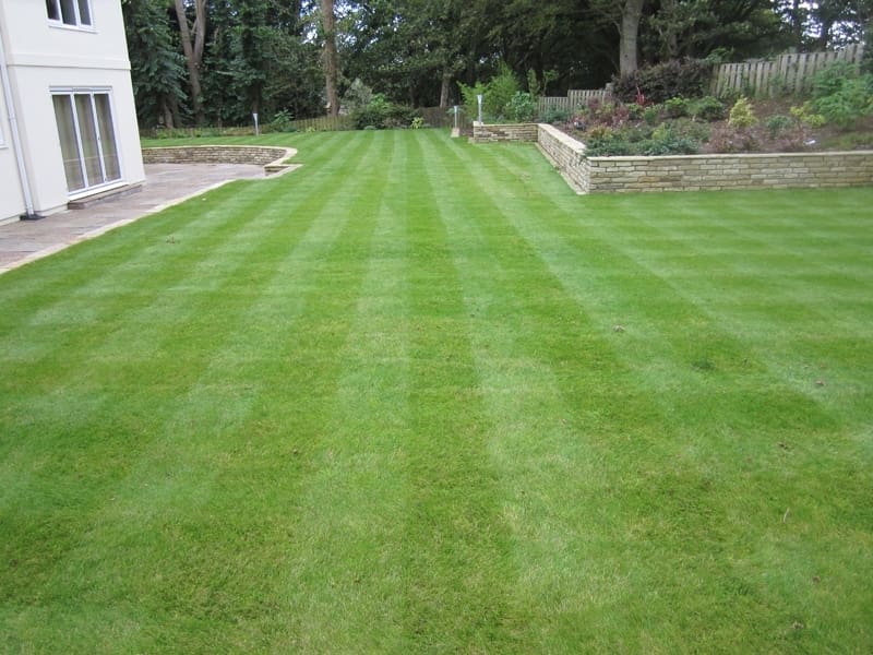 Lawns-2